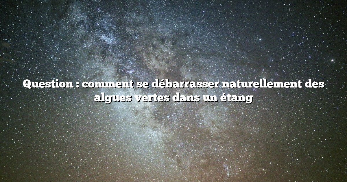 Question : comment se débarrasser naturellement des algues vertes dans un étang